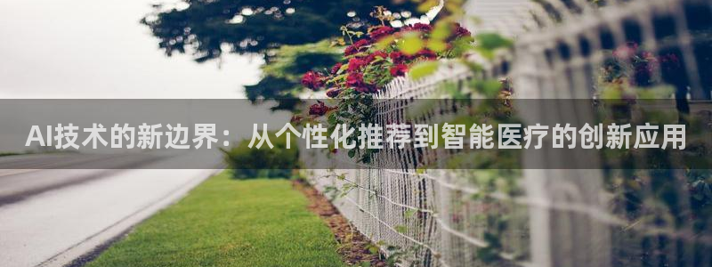 AI技术的新边界：从个性化推荐到智能医疗的创新应用