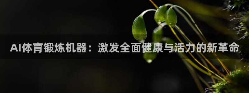 AI体育锻炼机器：激发全面健康与活力的新革命