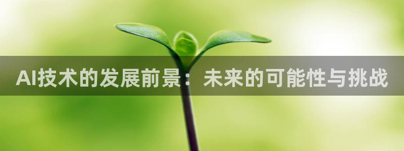 AI技术的发展前景：未来的可能性与挑战