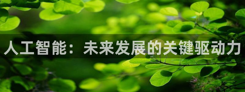 人工智能：未来发展的关键驱动力