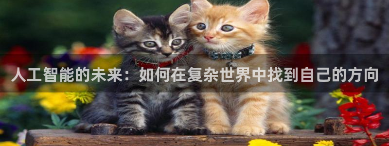 人工智能的未来：如何在复杂世界中找到自己的方向