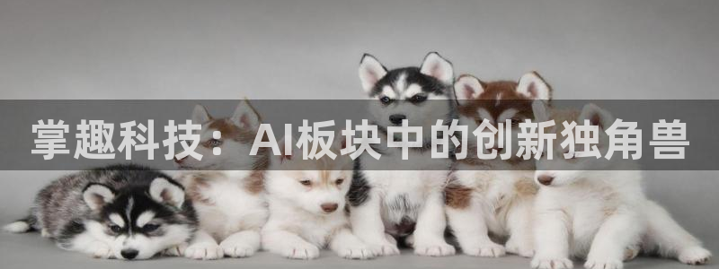 掌趣科技：AI板块中的创新独角兽