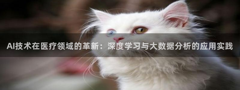 AI技术在医疗领域的革新：深度学习与大数据分析的应用实践