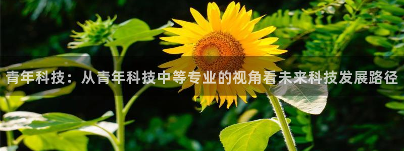 青年科技：从青年科技中等专业的视角看未来科技发展路径