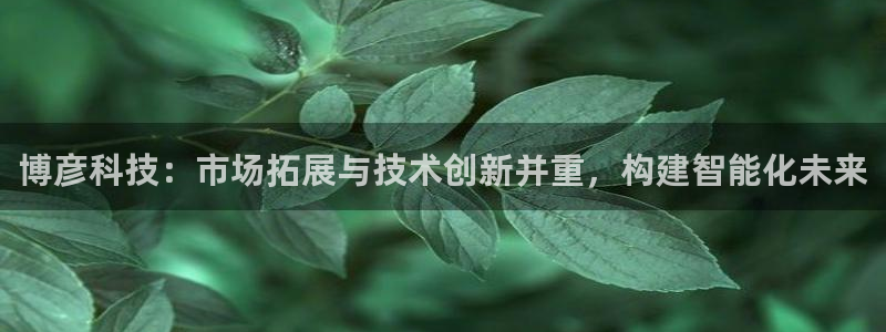 博彦科技：市场拓展与技术创新并重，构建智能化未来
