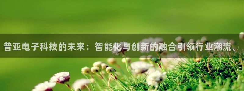 普亚电子科技的未来：智能化与创新的融合引领行业潮流。