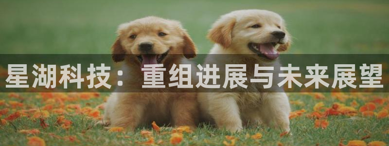 星湖科技：重组进展与未来展望