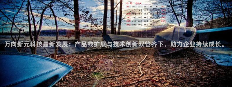 万向新元科技最新发展：产品线扩展与技术创新双管齐下，助力企业持续成长。