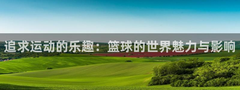 追求运动的乐趣：篮球的世界魅力与影响