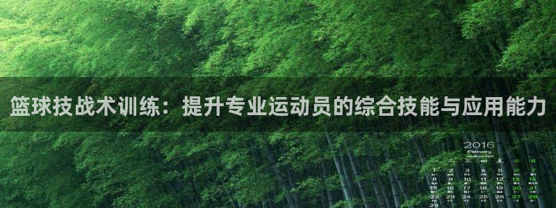 篮球技战术训练：提升专业运动员的综合技能与应用能力