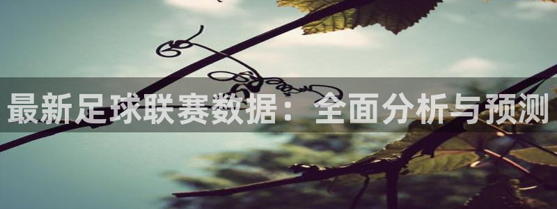 最新足球联赛数据：全面分析与预测