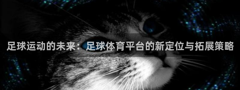 足球运动的未来：足球体育平台的新定位与拓展策略