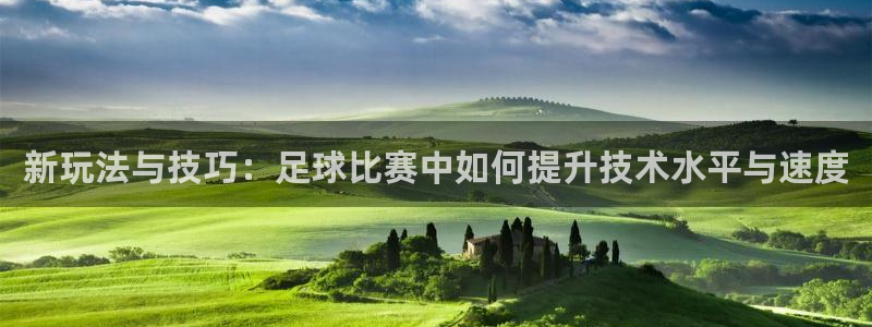 新玩法与技巧：足球比赛中如何提升技术水平与速度