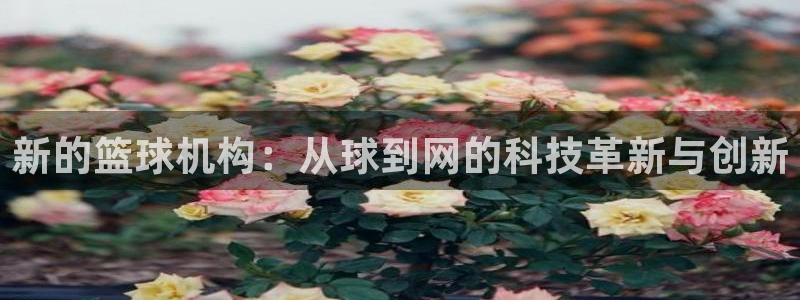 新的篮球机构：从球到网的科技革新与创新