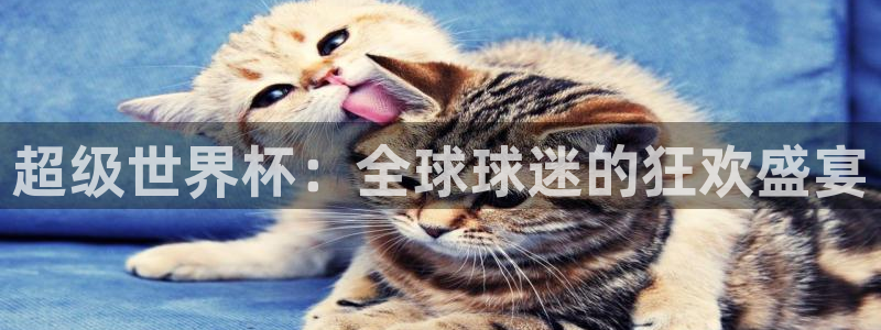 超级世界杯：全球球迷的狂欢盛宴