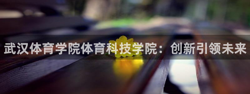 武汉体育学院体育科技学院：创新引领未来