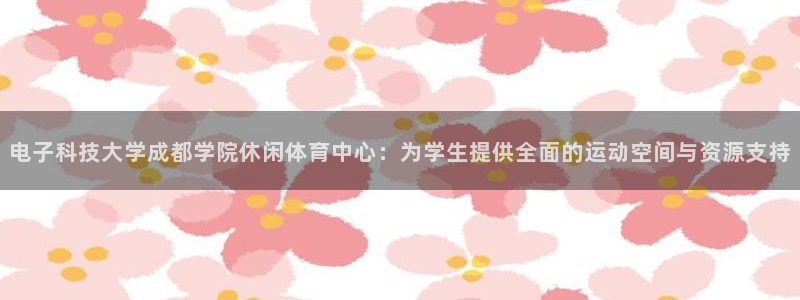 电子科技大学成都学院休闲体育中心：为学生提供全面的运动空间与资源支持