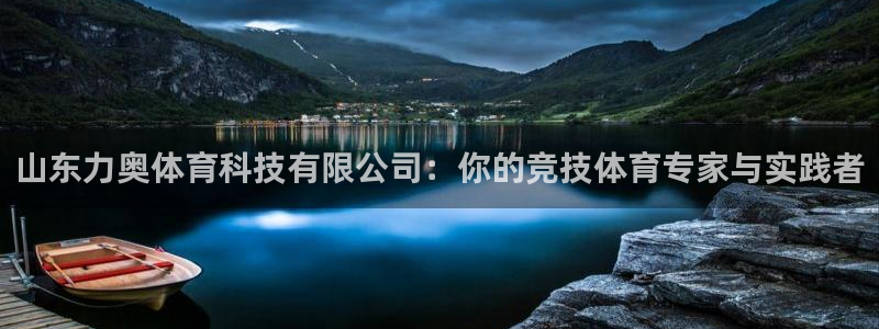 山东力奥体育科技有限公司：你的竞技体育专家与实践者