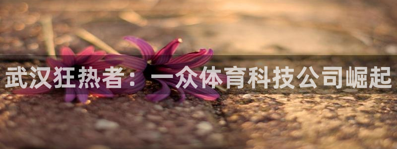 武汉狂热者：一众体育科技公司崛起