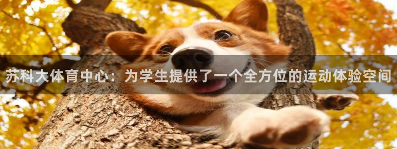 苏科大体育中心：为学生提供了一个全方位的运动体验空间