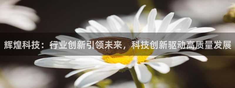 辉煌科技：行业创新引领未来，科技创新驱动高质量发展