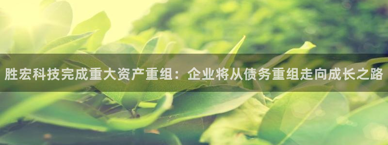 胜宏科技完成重大资产重组：企业将从债务重组走向成长之路